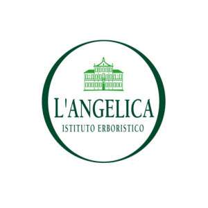 L'Angelica